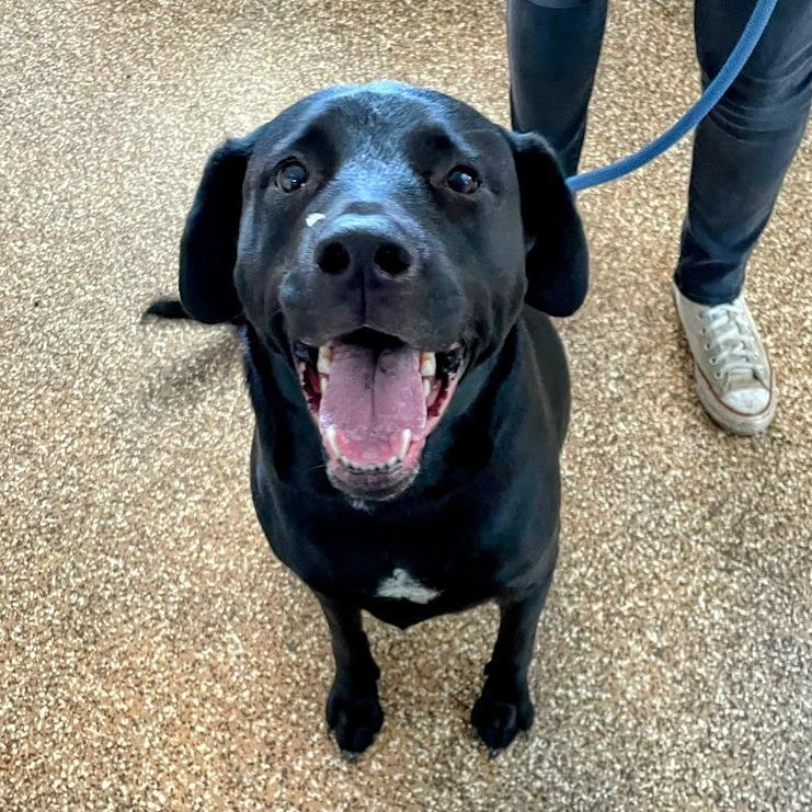 Girly Pop thumbnail 3