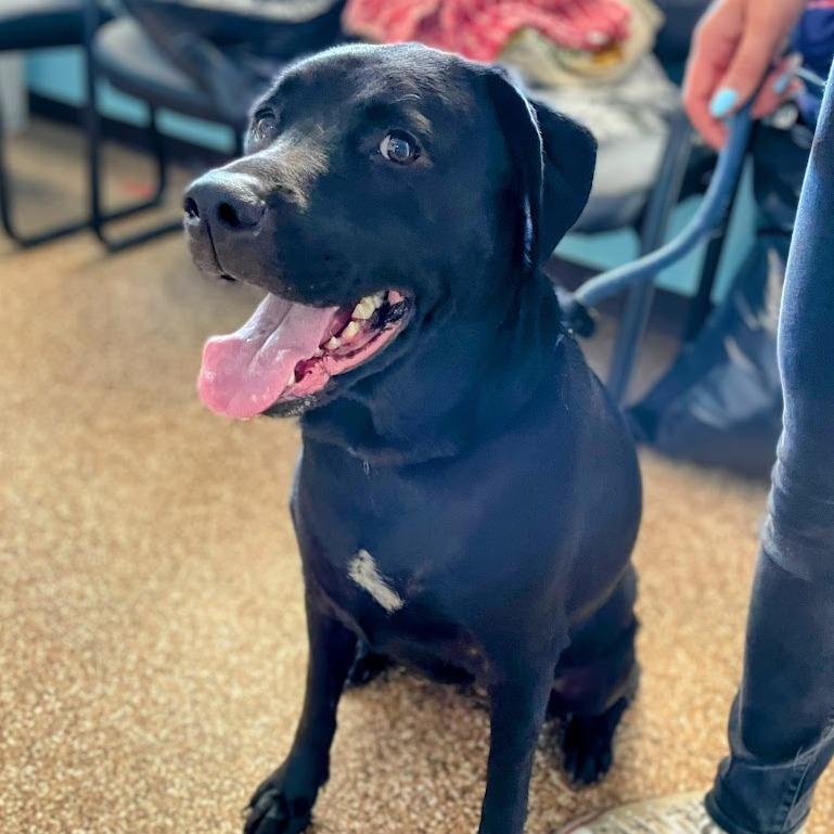 Girly Pop thumbnail 4