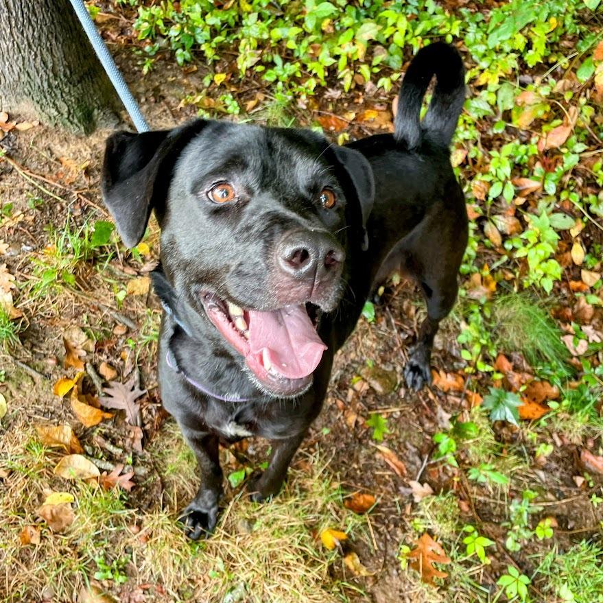 Girly Pop thumbnail 5