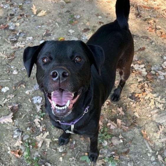 Girly Pop thumbnail 6