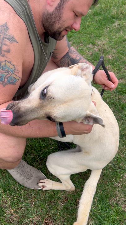 Enlarge Topaz, a ADOPTABLE mixed breed in Mount Sterling, KY video 3/3