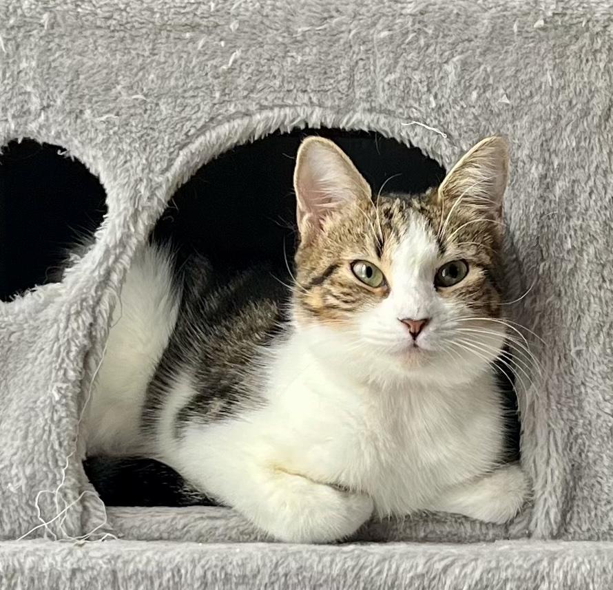 Susie — thumbnail 2