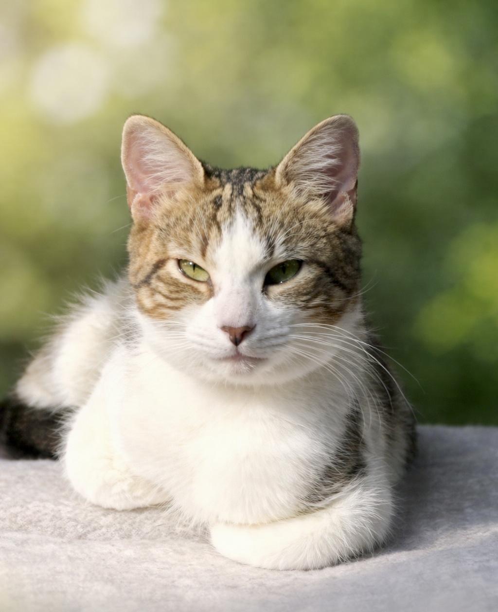 Susie — thumbnail 5