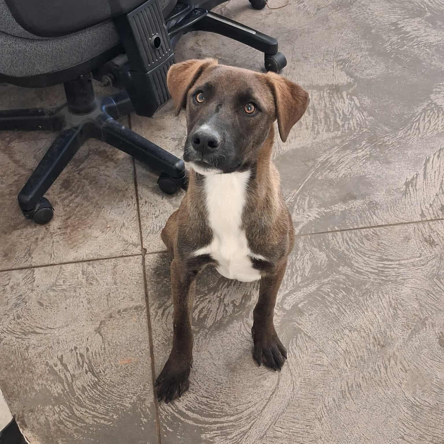 Oakley