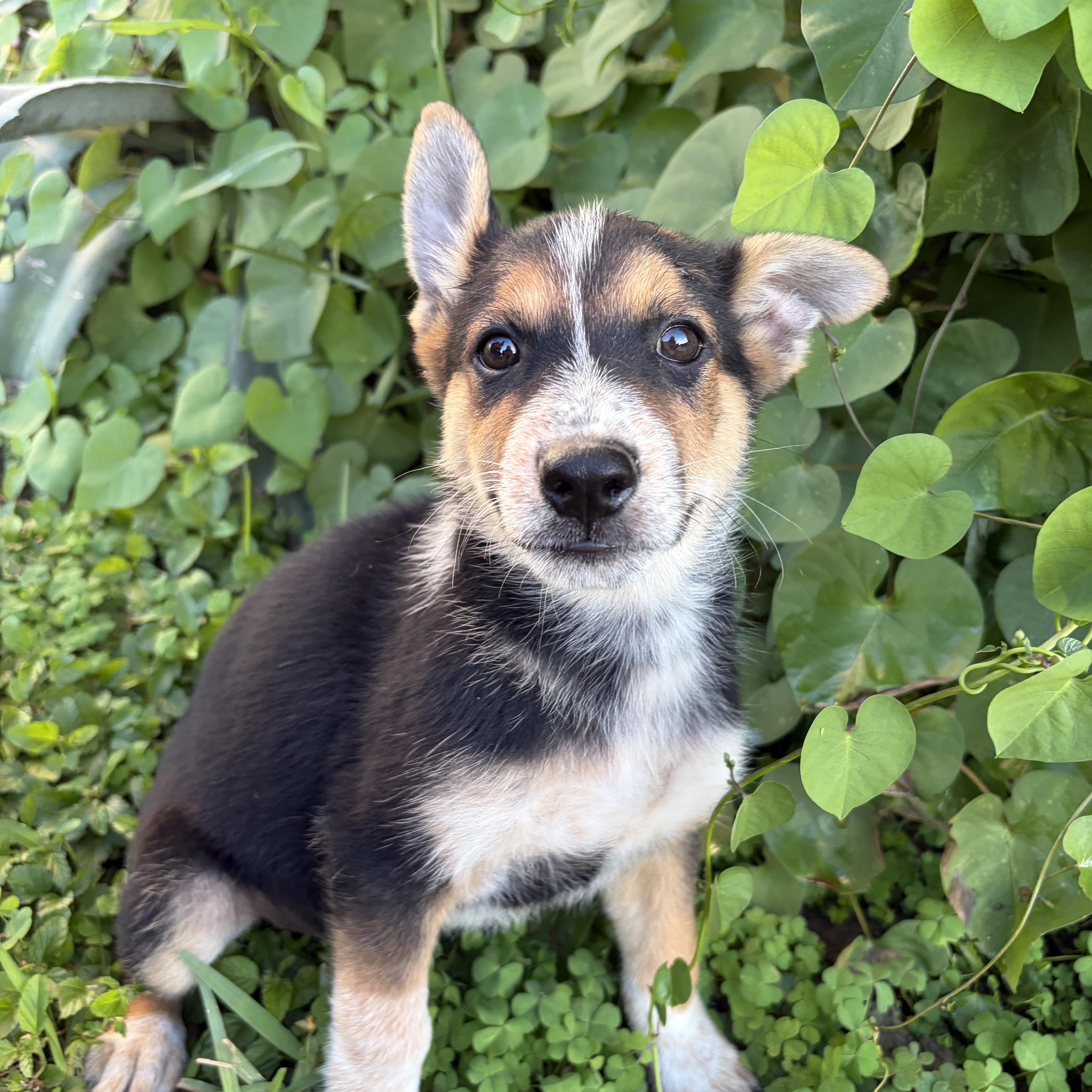 Morty photo