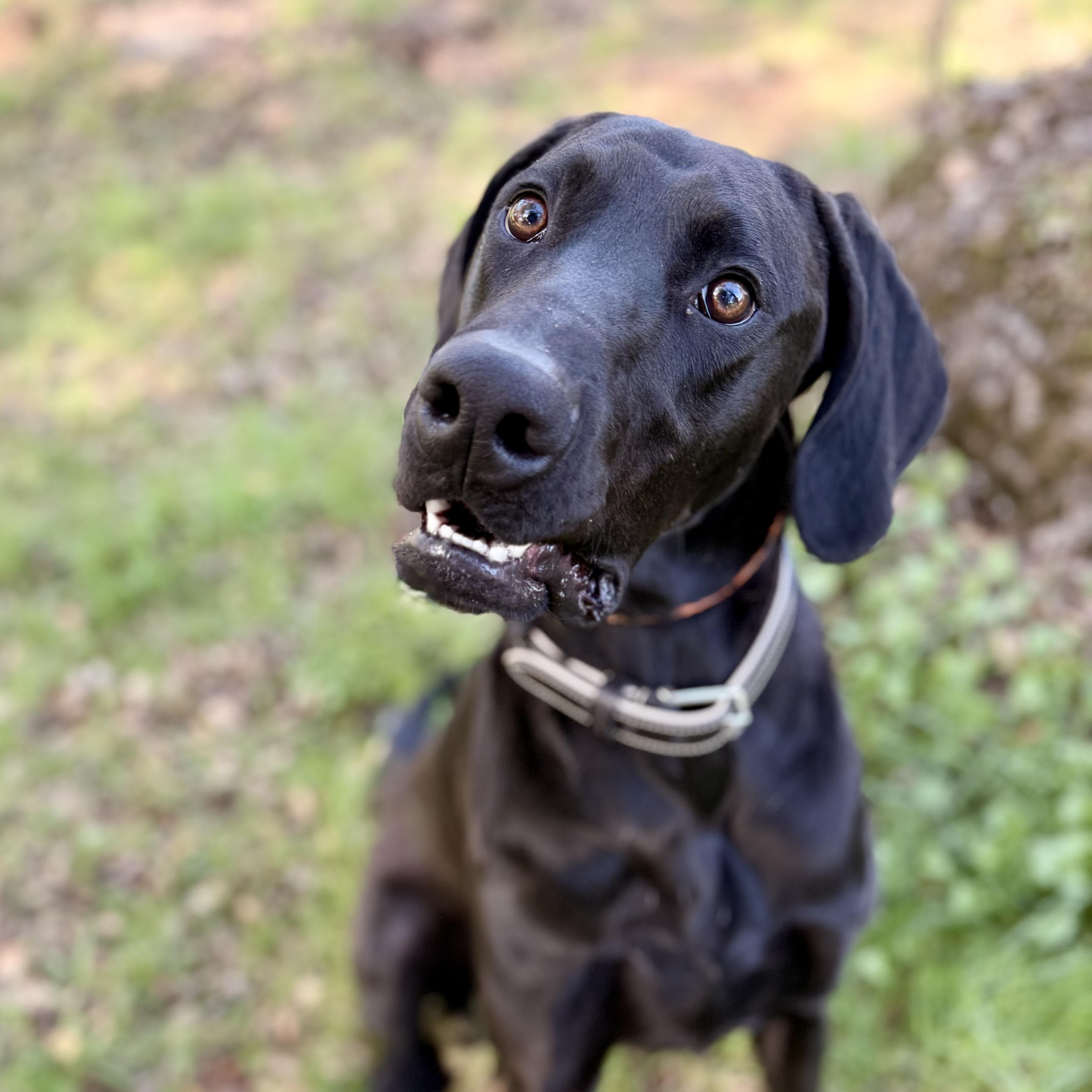 Mac 0125 — thumbnail 2