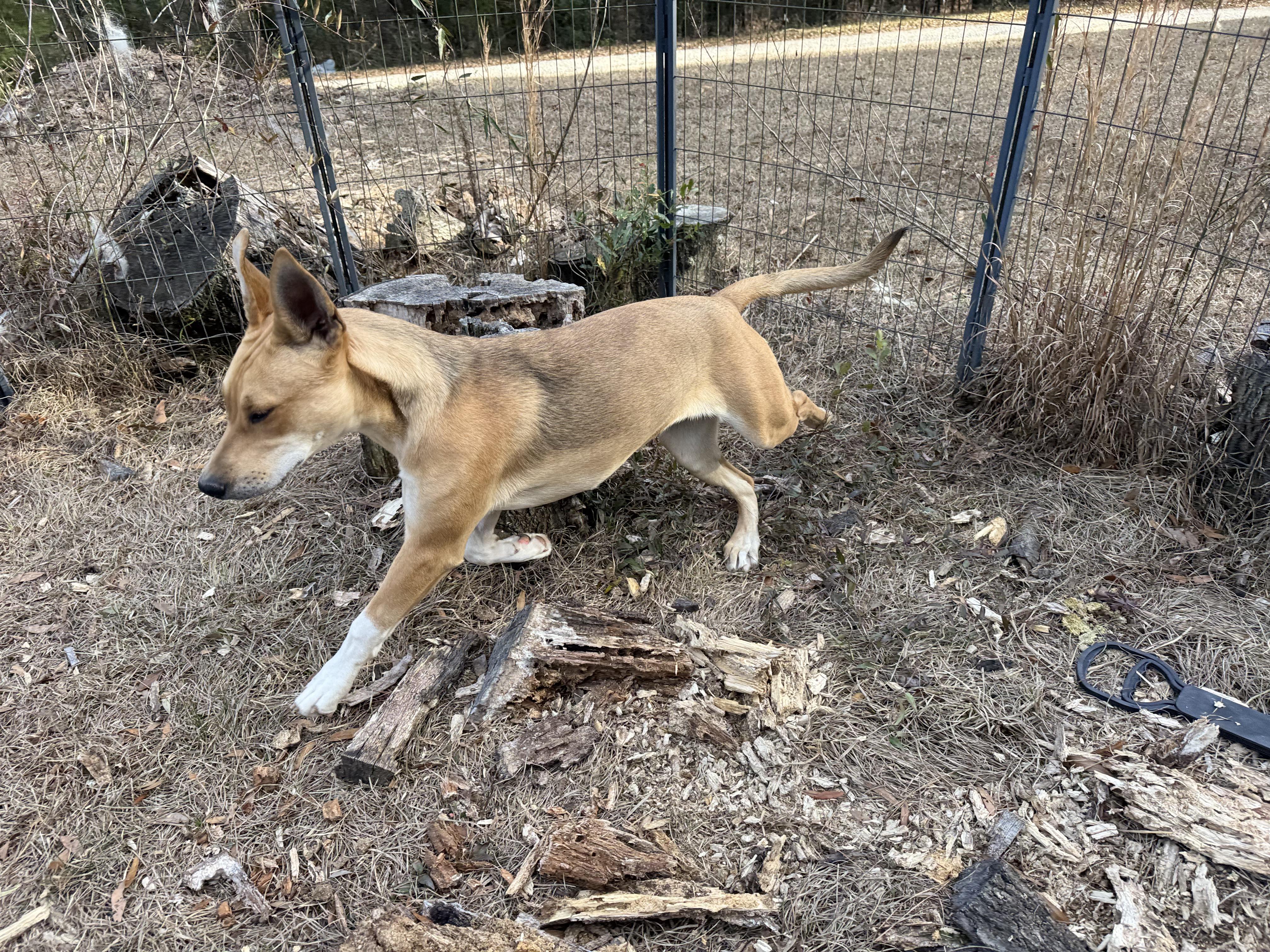 Madam Sideeye Snitchington thumbnail 3