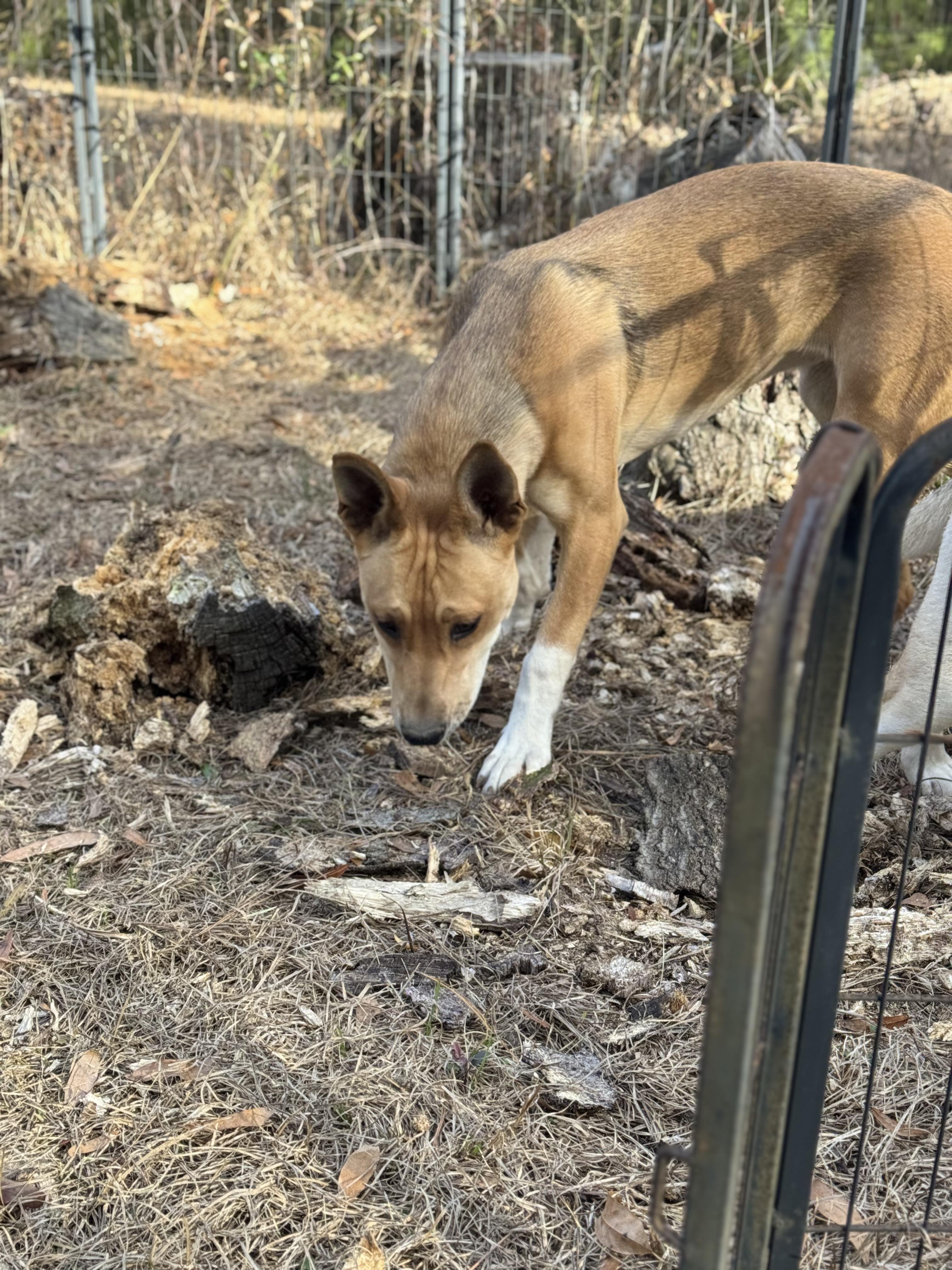 Madam Sideeye Snitchington thumbnail 4