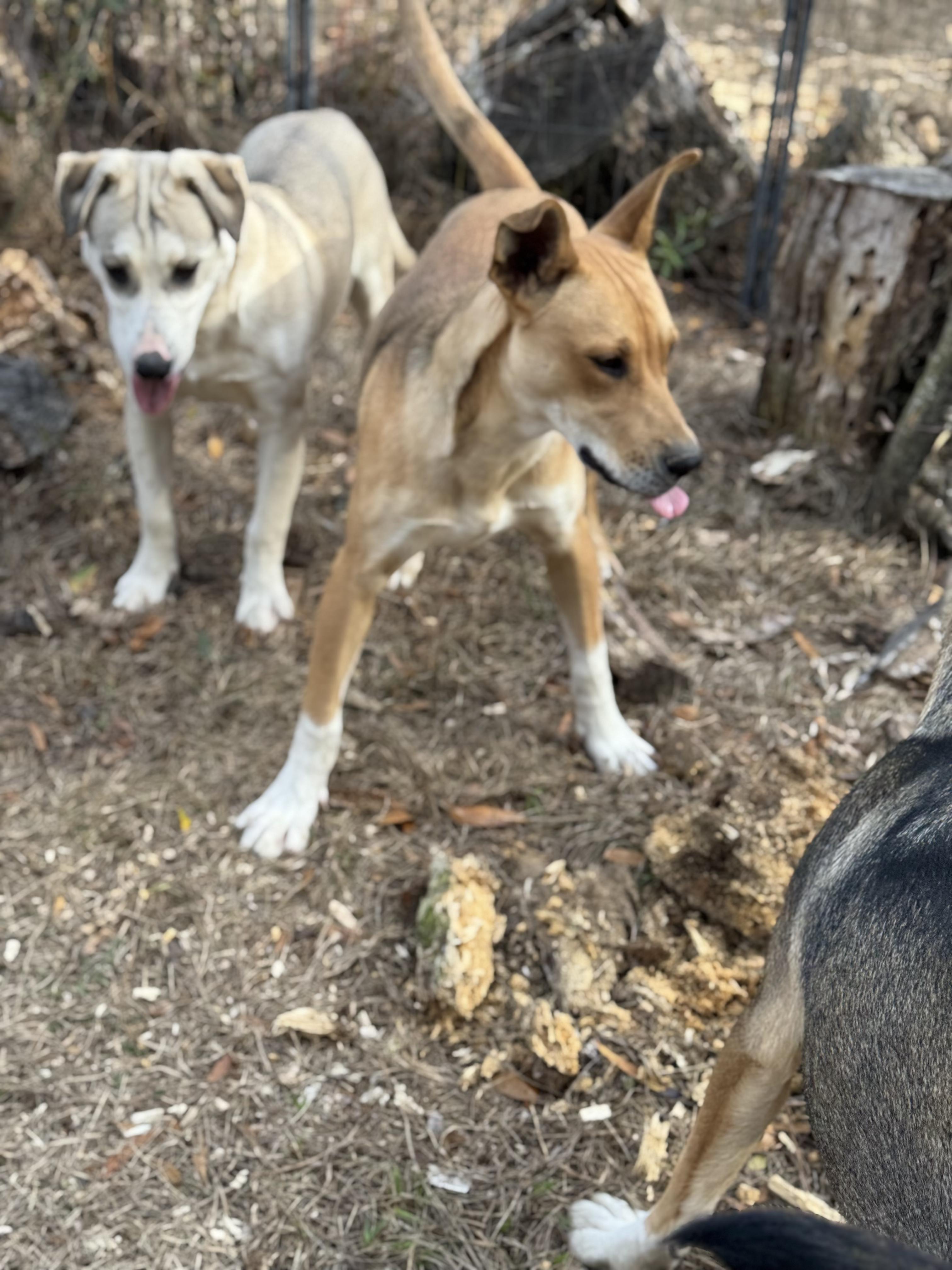 Madam Sideeye Snitchington thumbnail 6