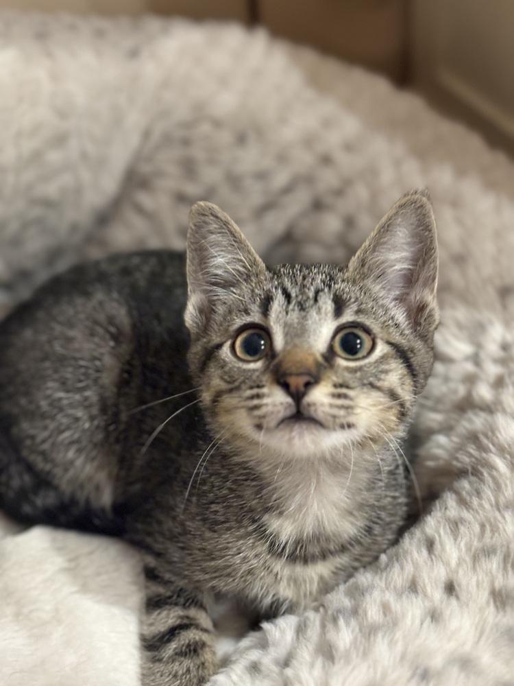 Miss Kane thumbnail 5