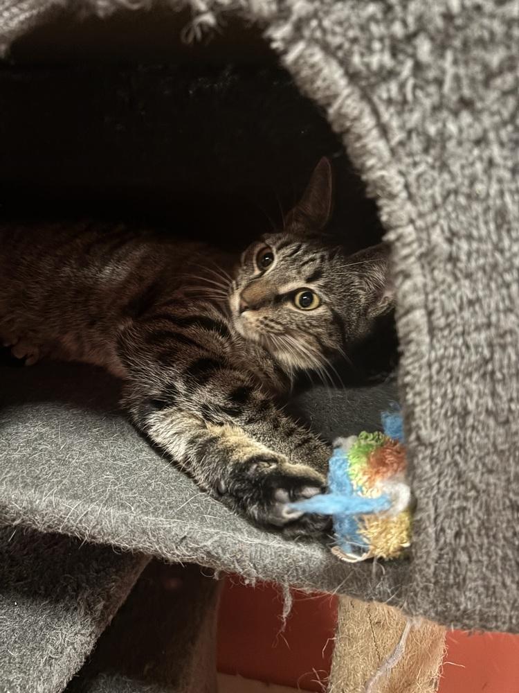 Miss Kane thumbnail 7