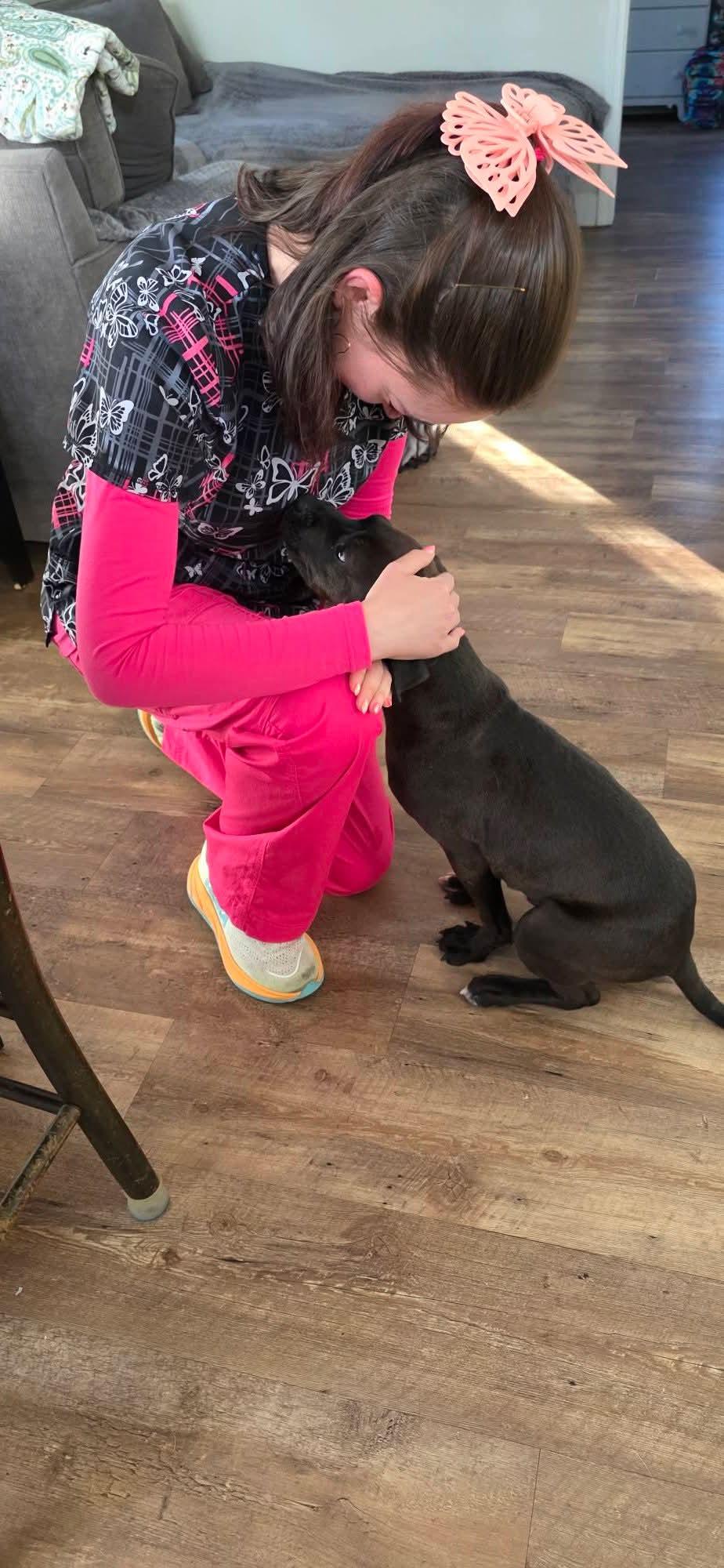 Garland, a ADOPTABLE mixed breed in Gardner, MA image 2/5