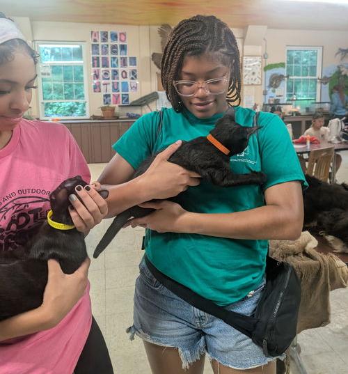 Tootsie Roll  Willow thumbnail 3