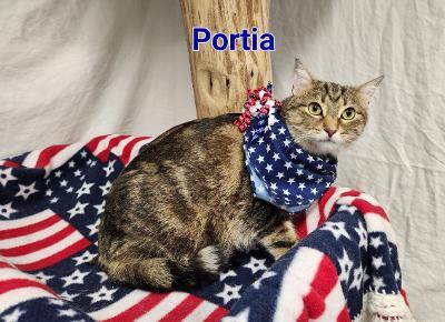 Portia, a Adoptable mixed breed in Whitewater, WI image 3/6
