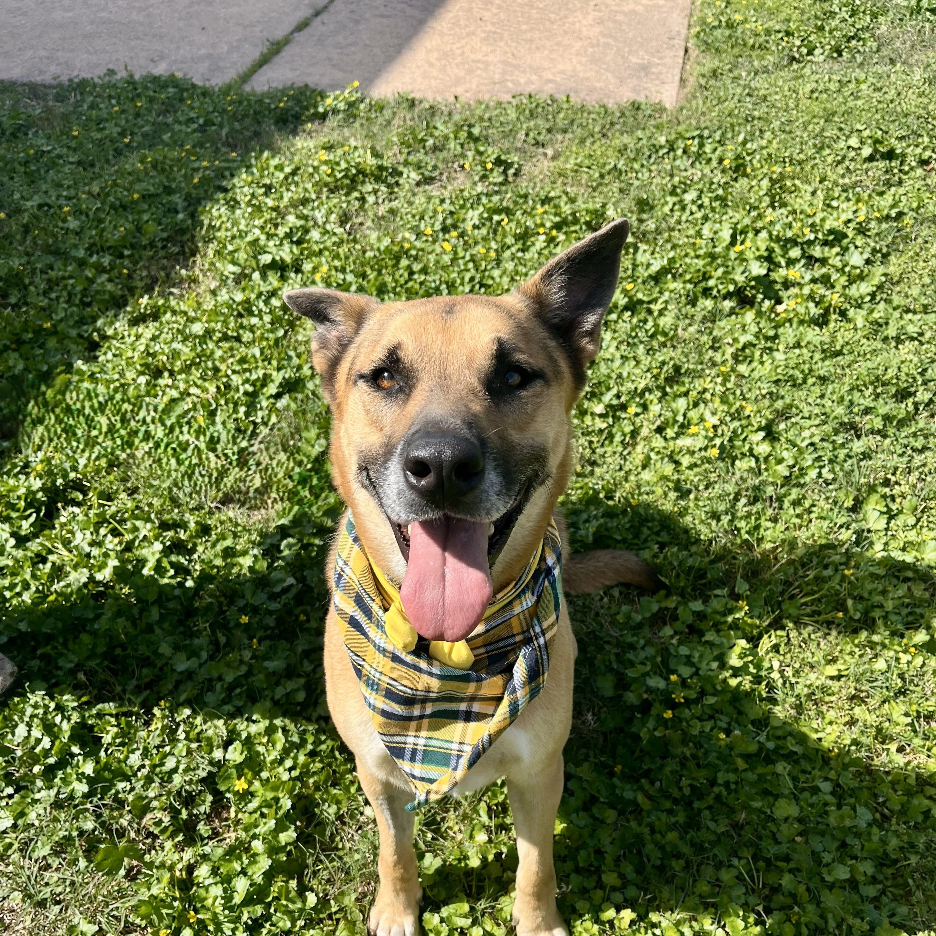 Fig Lucas — thumbnail 3