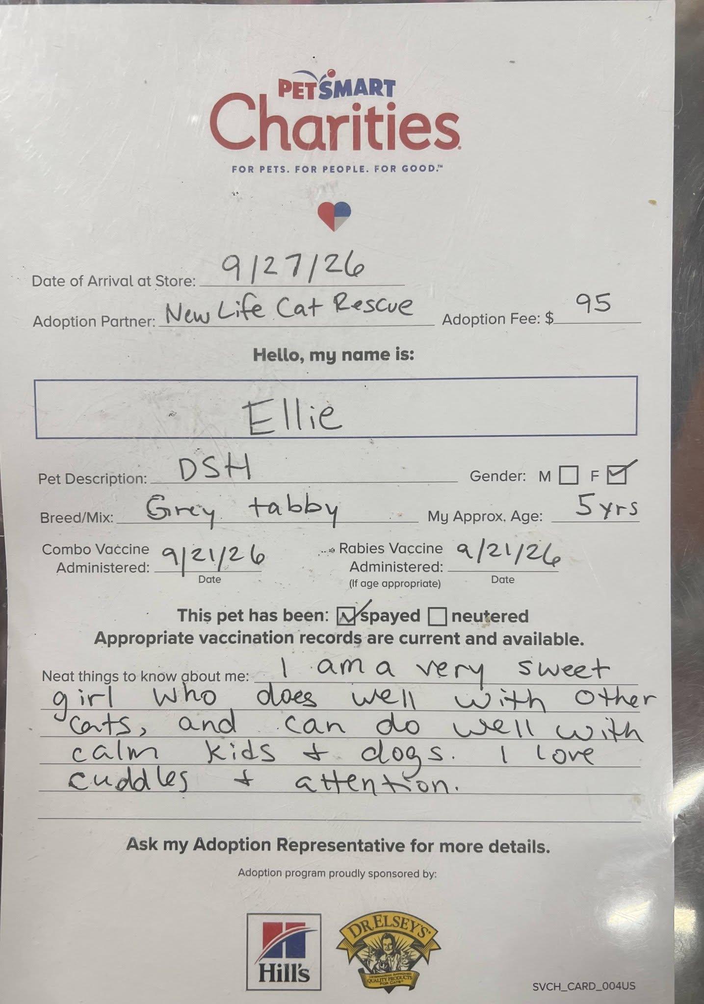 Enlarge Ellie, a Adopted mixed breed in Midlothian, TX image 2/2