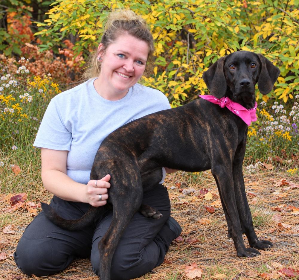 Enlarge Coco, a Adoptable Plott Hound in Cheboygan, MI image 2/6