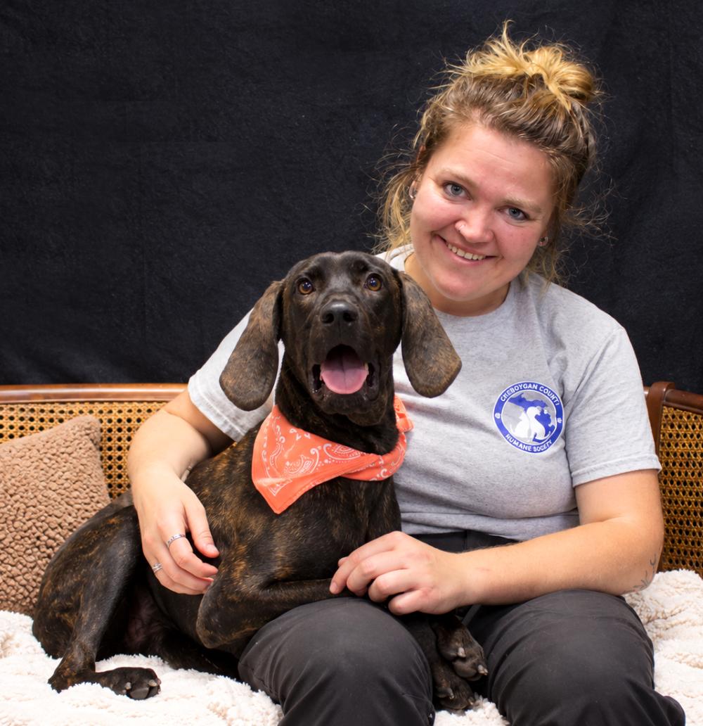 Enlarge Coco, a Adoptable Plott Hound in Cheboygan, MI image 6/6