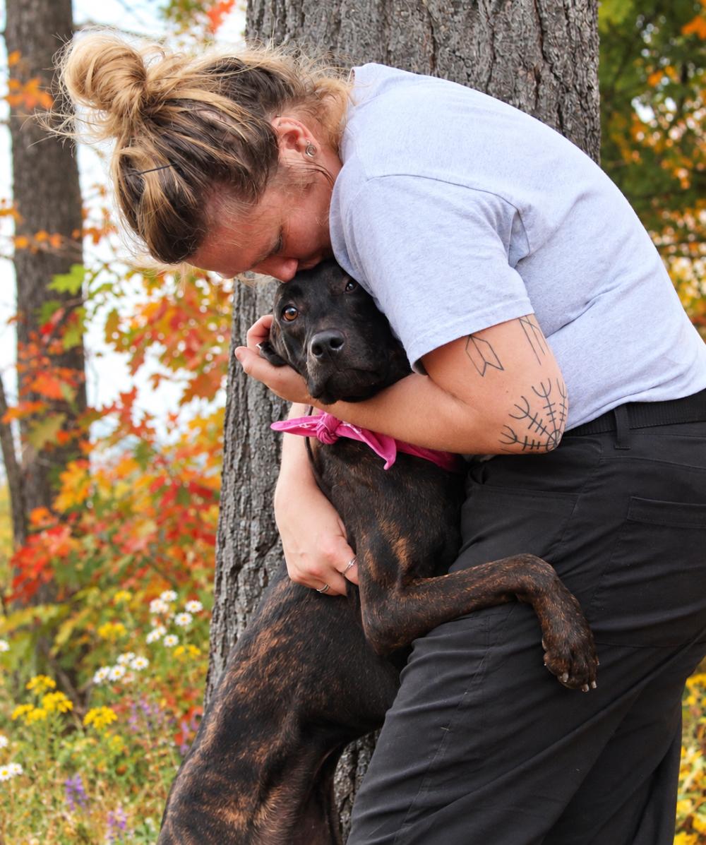 Enlarge Coco, a Adoptable Plott Hound in Cheboygan, MI image 3/6