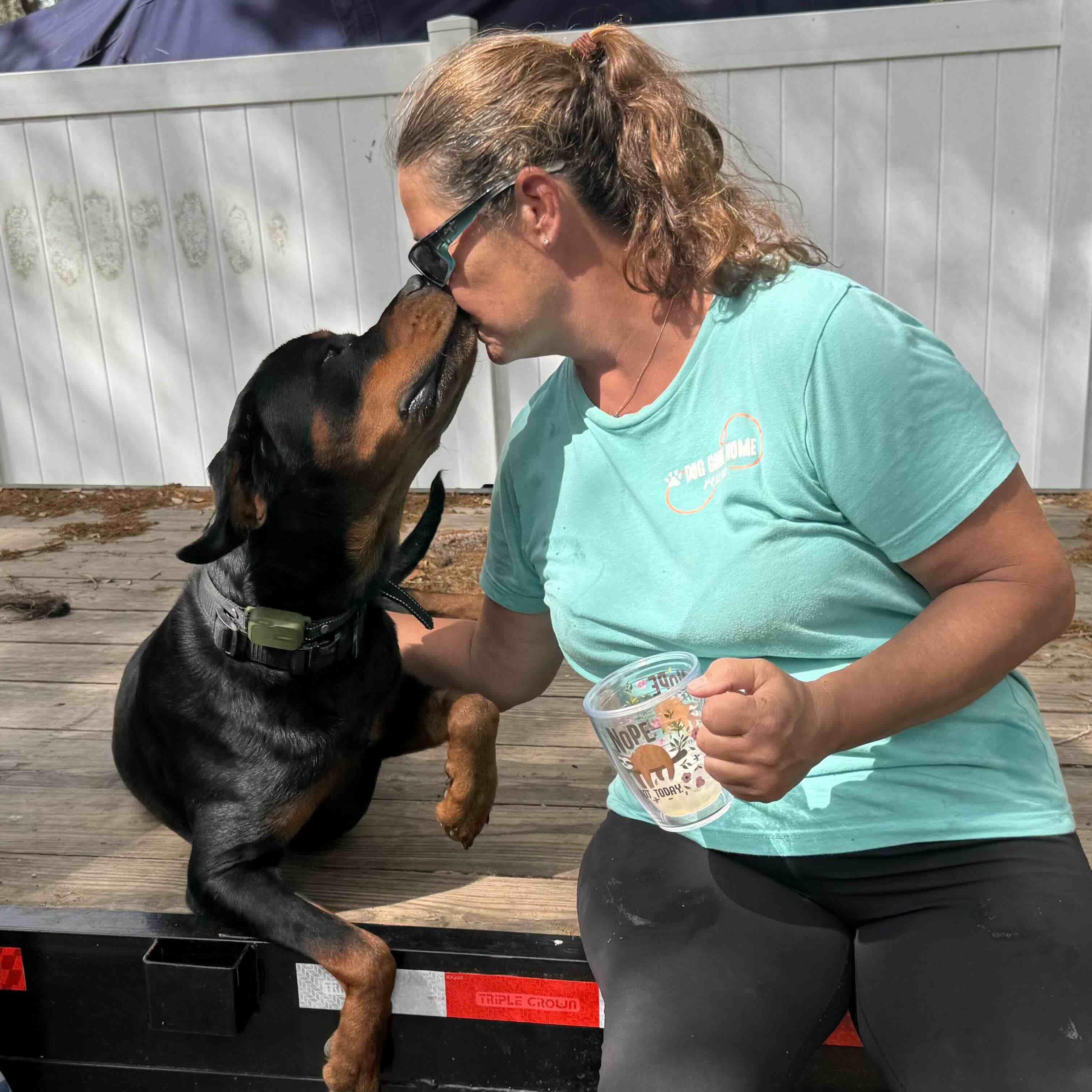 Enzo, a ADOPTABLE Rottweiler in New Port Richey, FL image 3/5