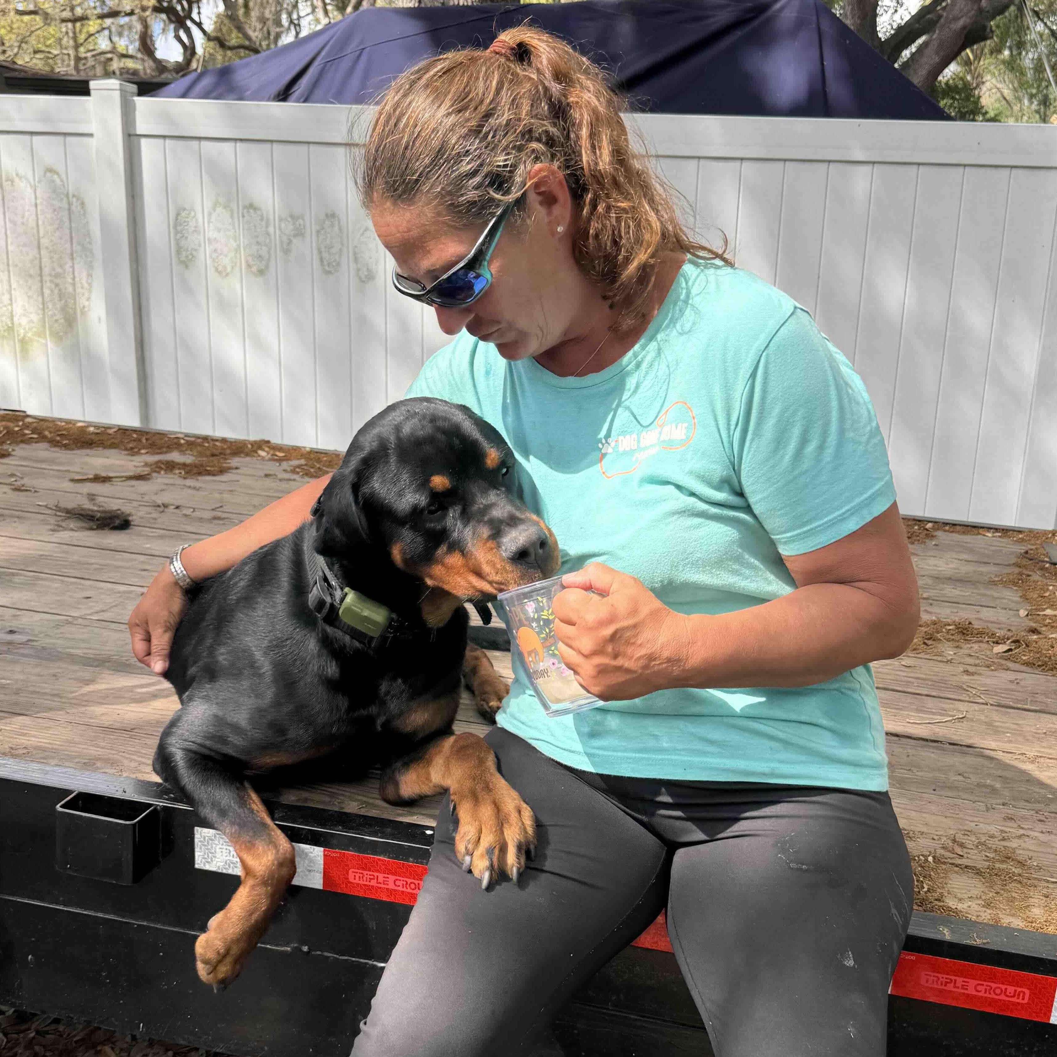Enzo, a ADOPTABLE Rottweiler in New Port Richey, FL image 4/5