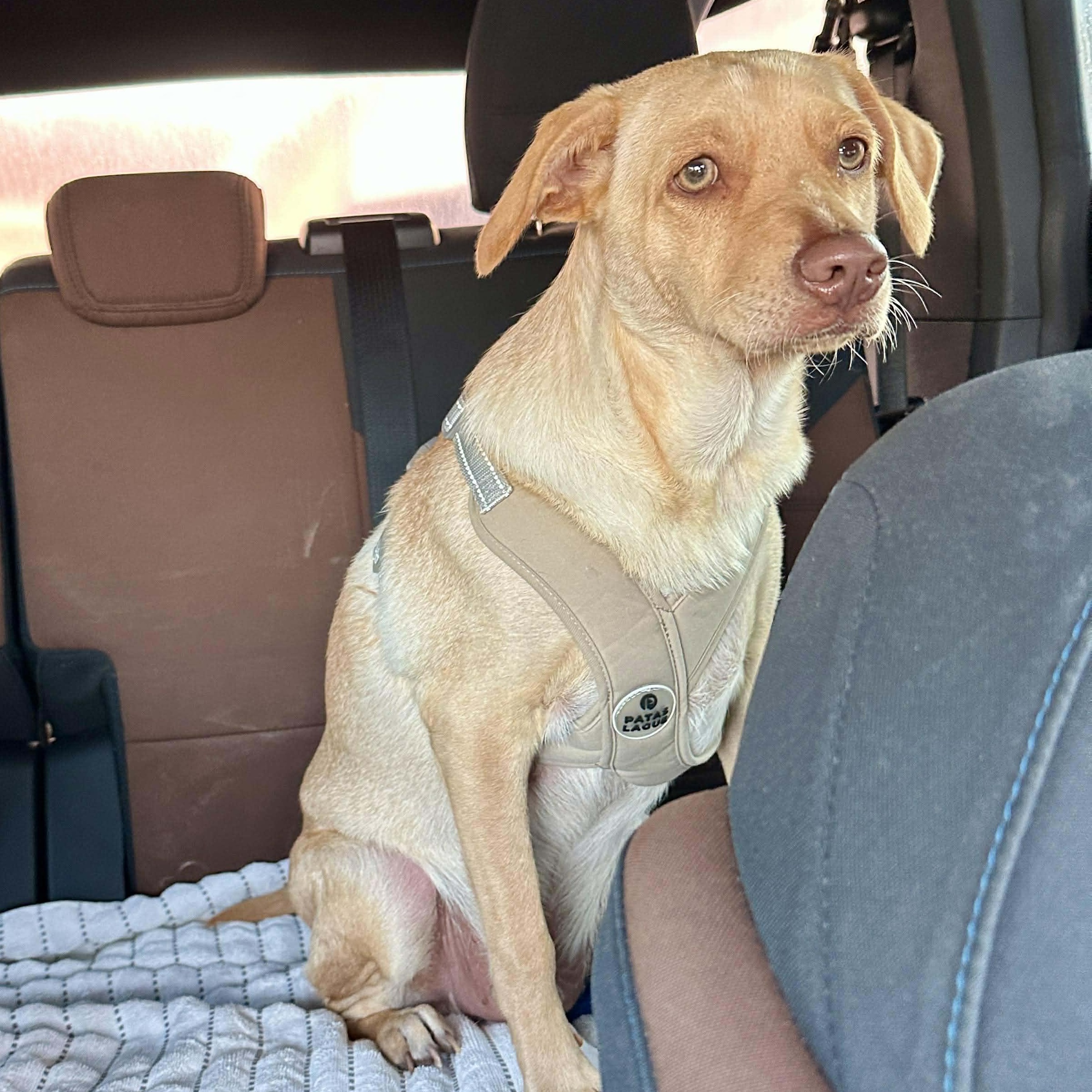 Buzz Clifford thumbnail 3