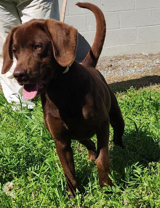 260280 Bolt — thumbnail 2