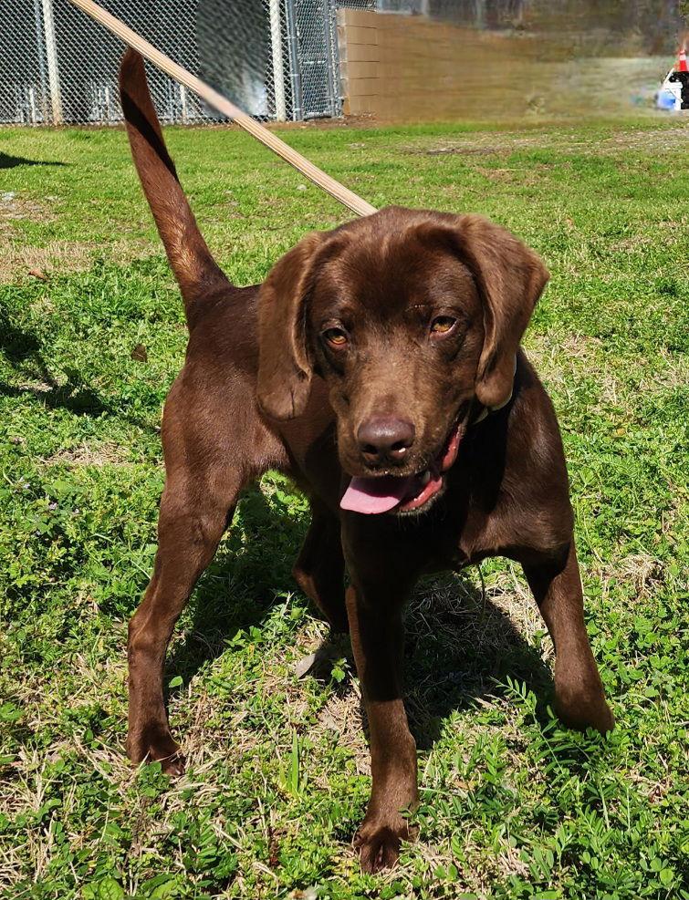 260280 Bolt — thumbnail 3