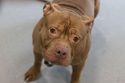 Hamilton — thumbnail 2