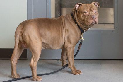 Hamilton — thumbnail 3