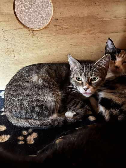 Mary — thumbnail 2