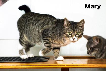 Mary — thumbnail 4