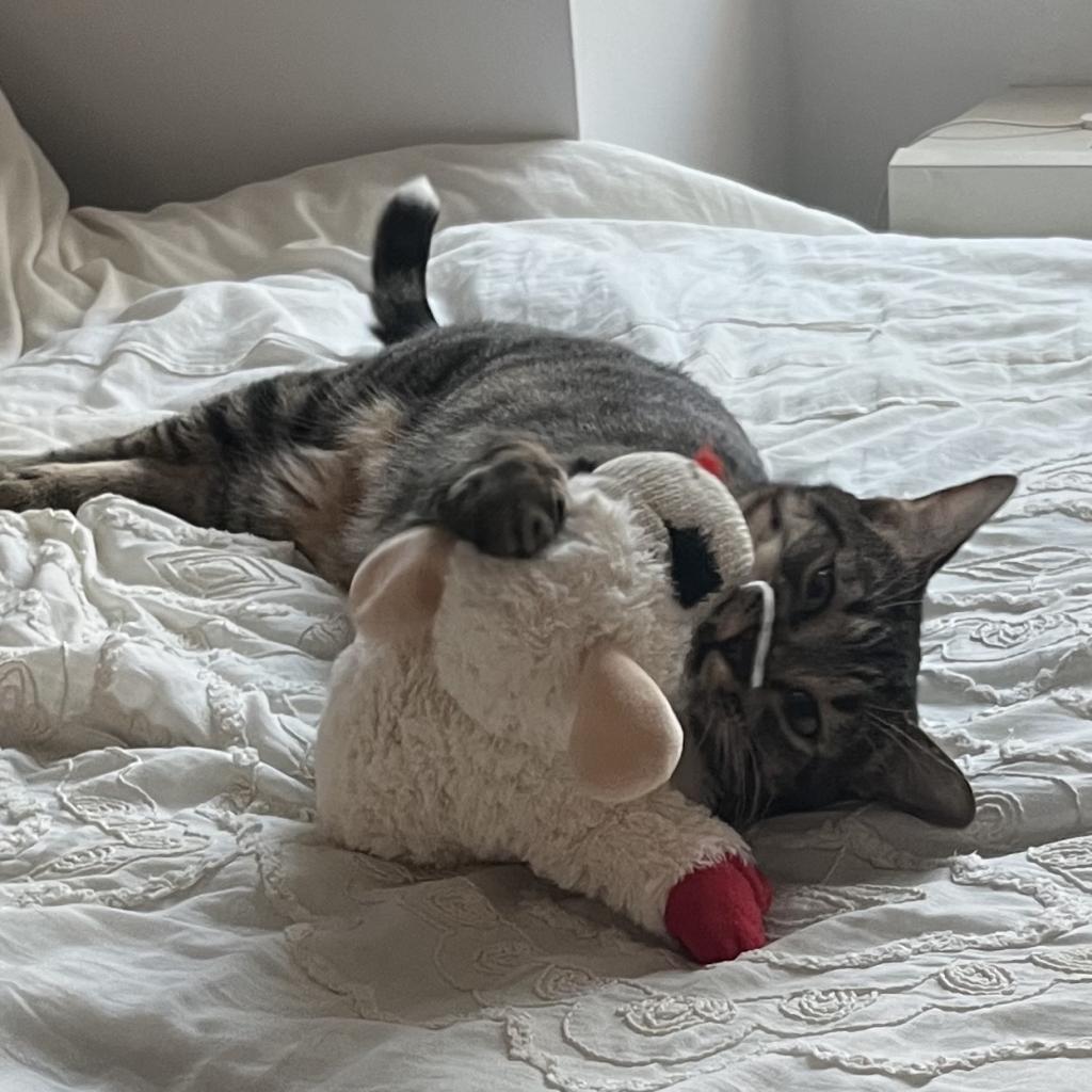 Eros — thumbnail 2