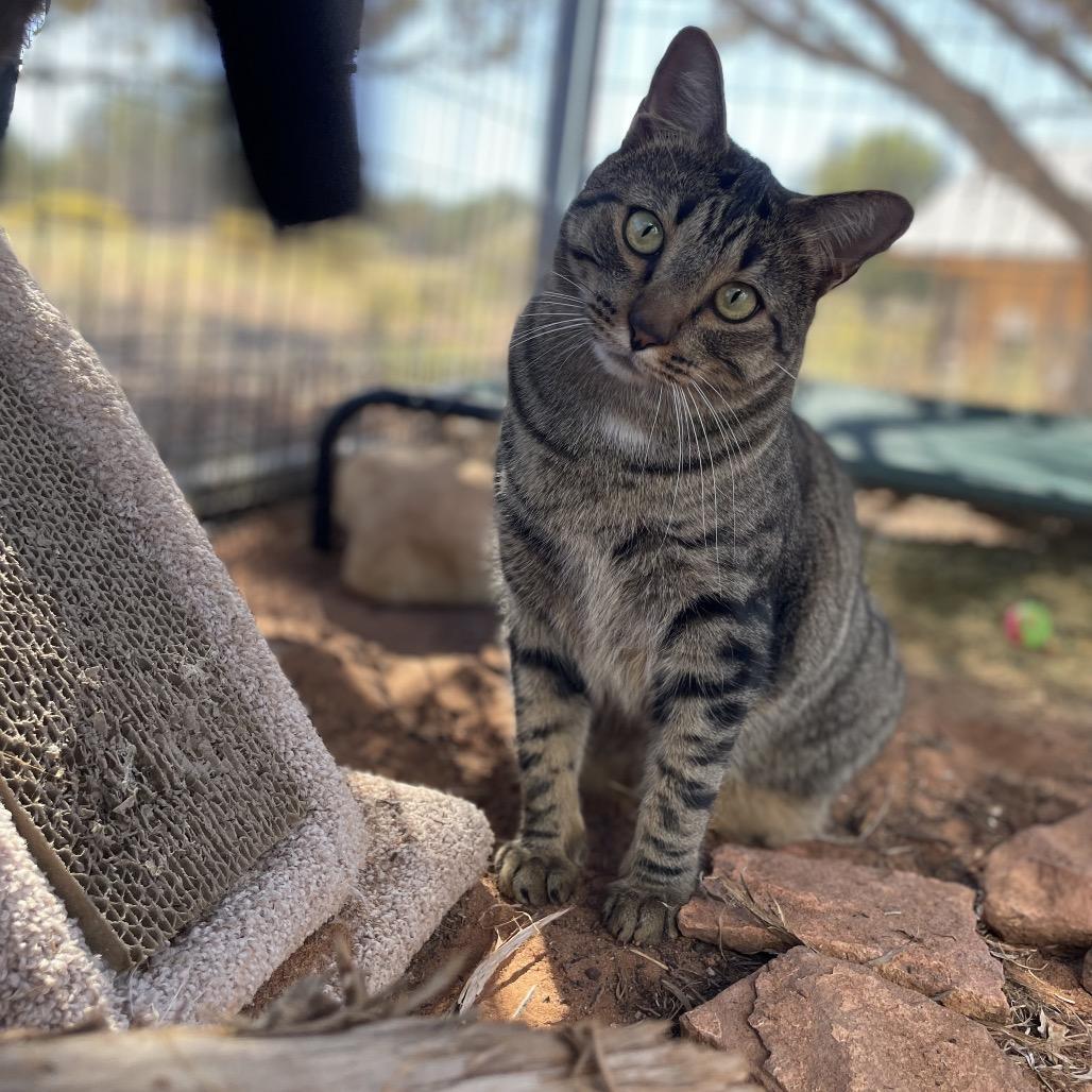 Eros — thumbnail 3