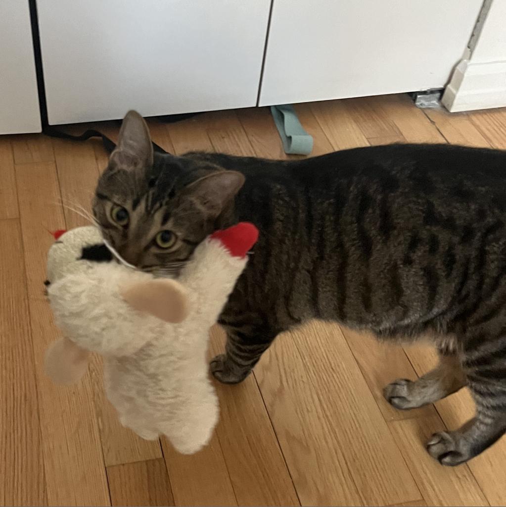 Eros — thumbnail 5