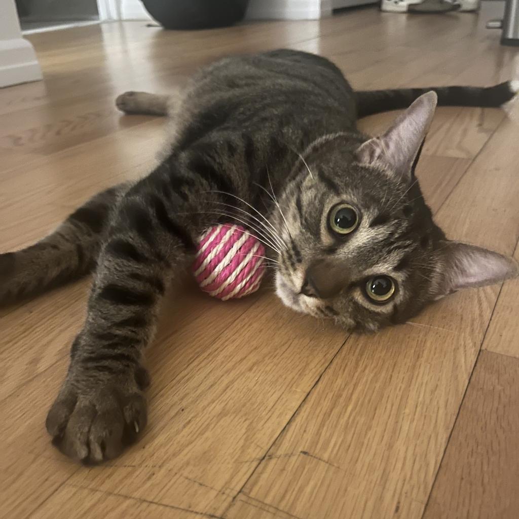 Eros — thumbnail 6