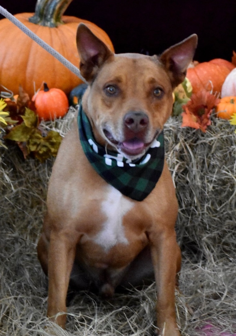 Taz photo 5