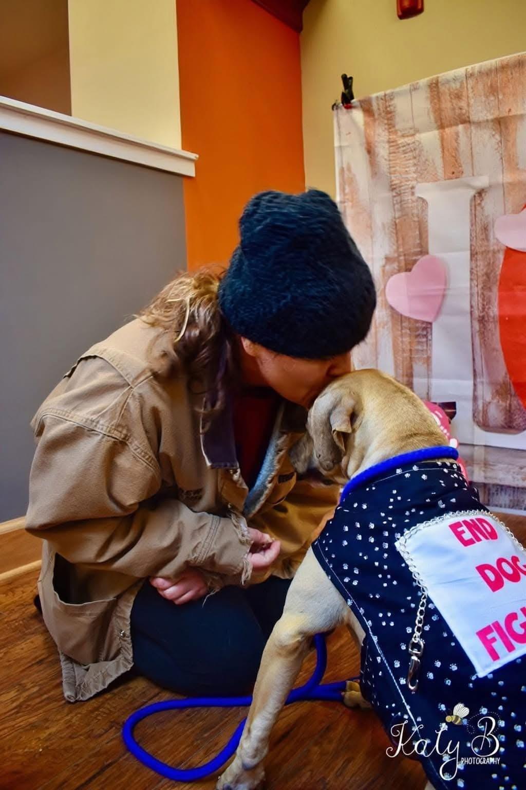 Enlarge Spirit, a Adoptable Mixed Breed in Watertown, WI image 5/5