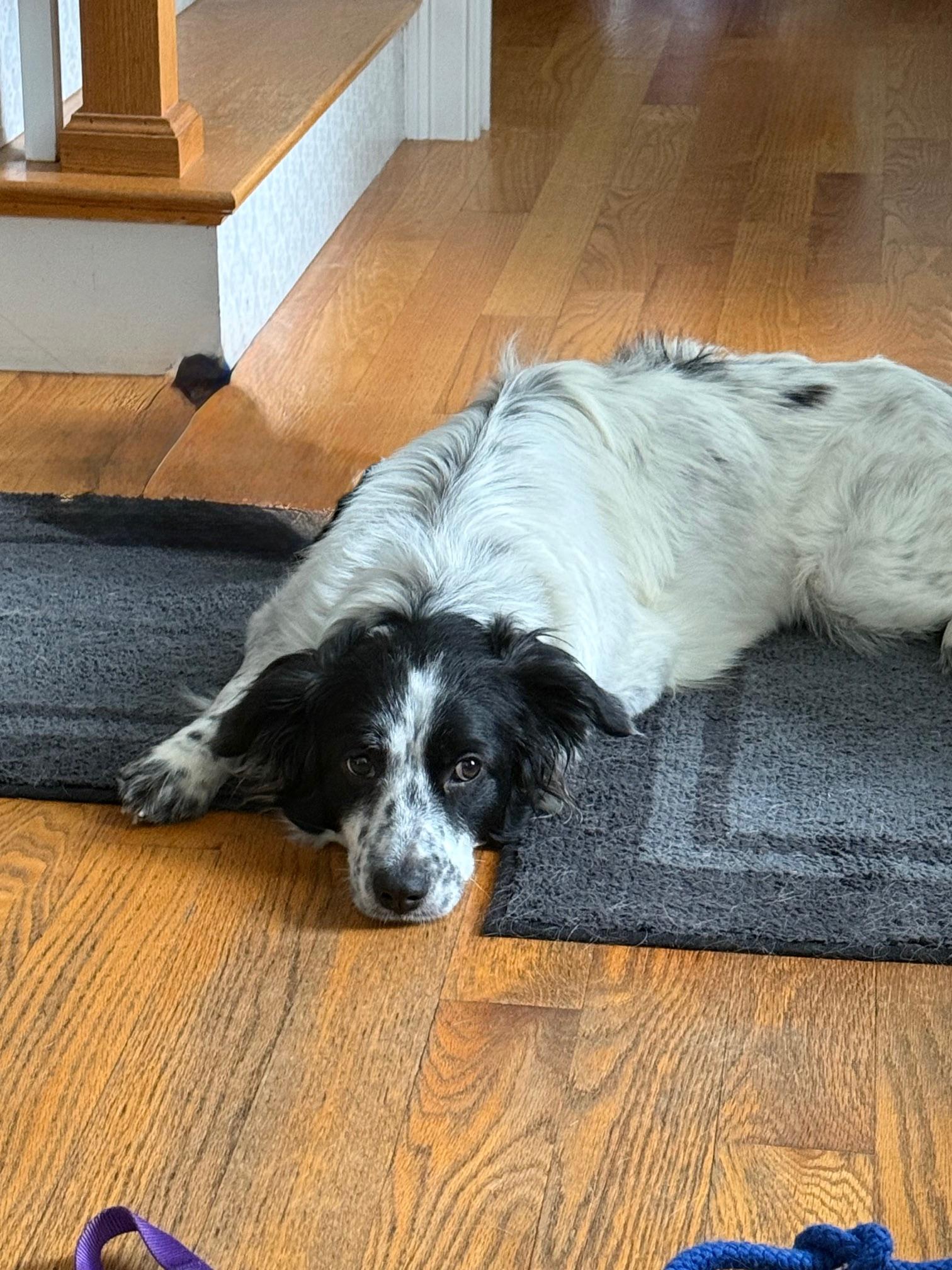 Gwendolyn thumbnail 4