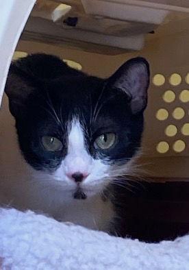 Janny — thumbnail 2