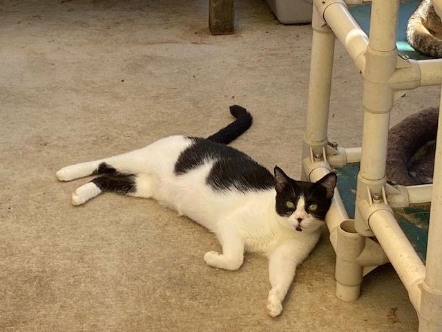 Janny — thumbnail 3