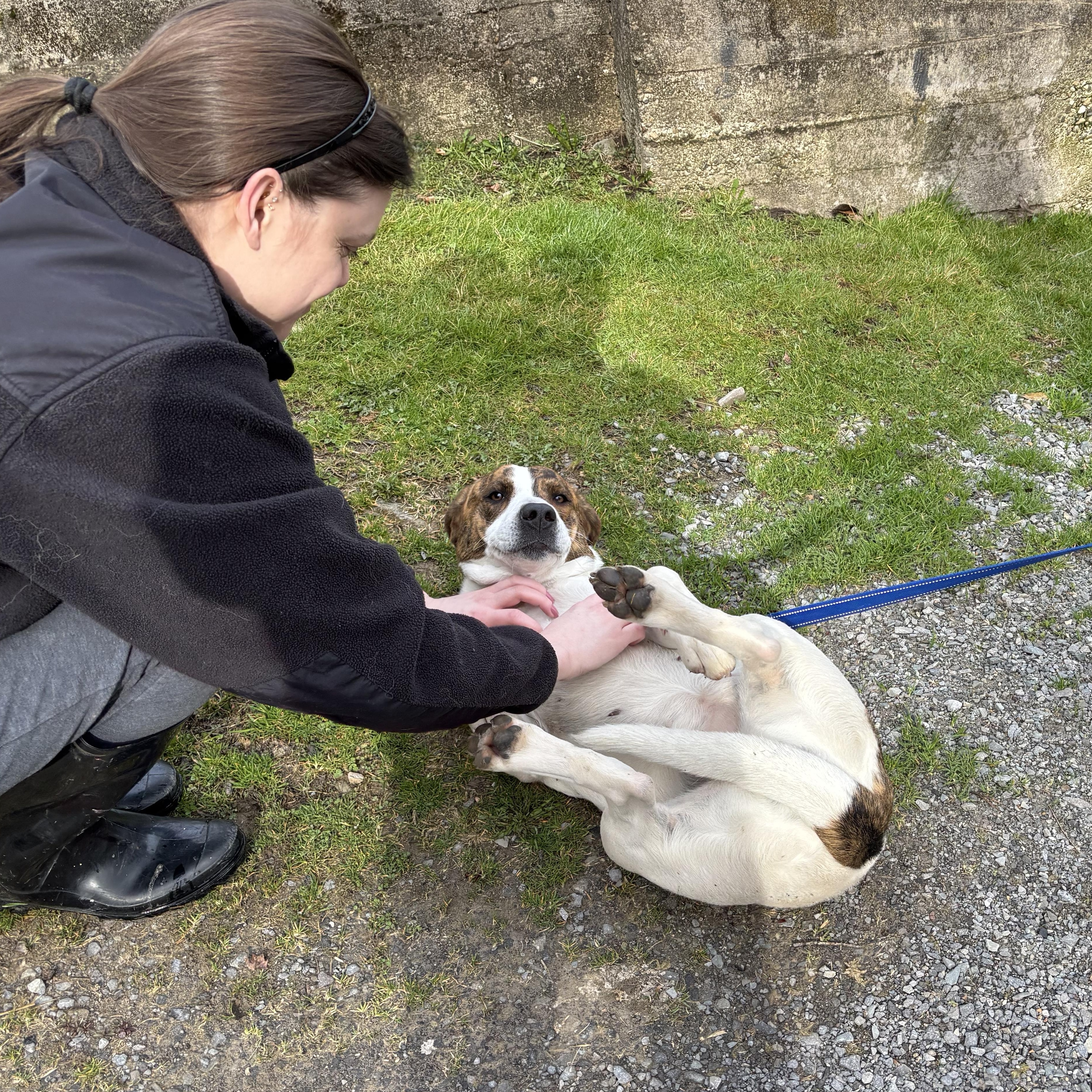 Ellie Mae thumbnail 5