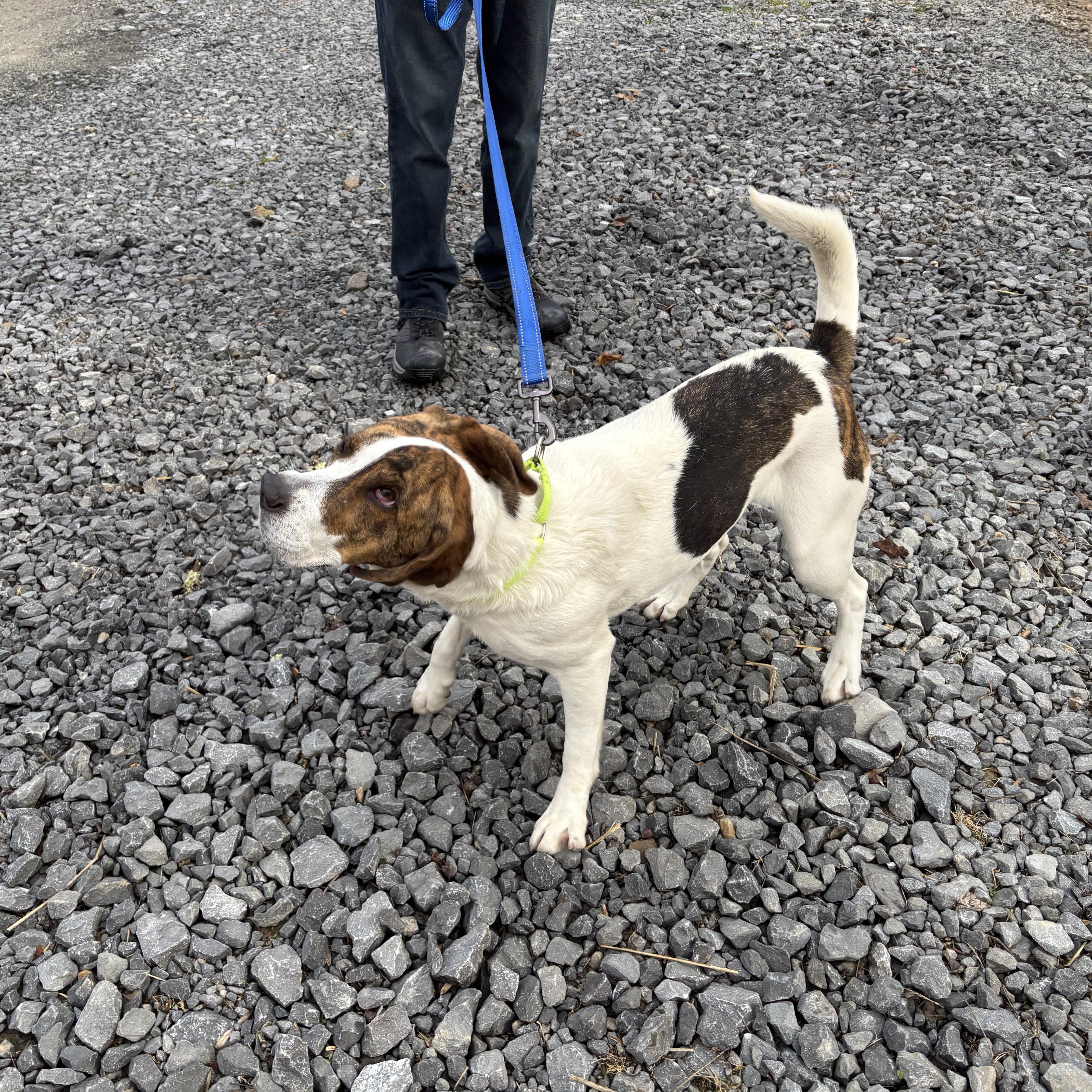 Ellie Mae thumbnail 4