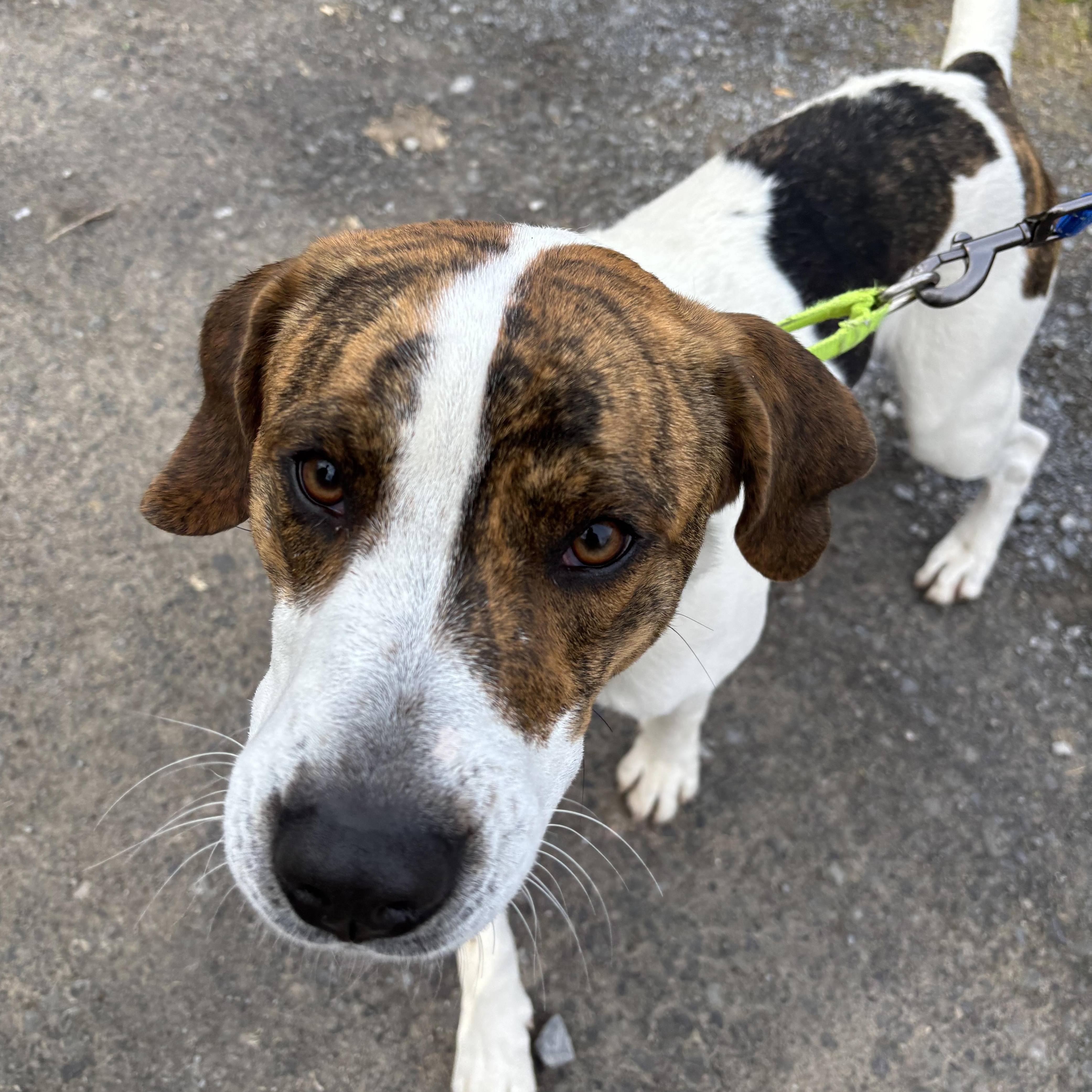 Ellie Mae thumbnail 2