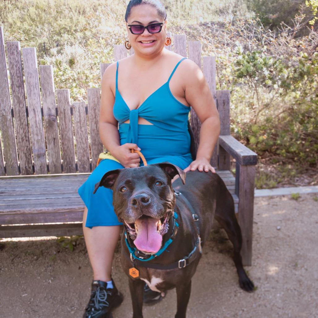 Enlarge Baker, a Adoptable mixed breed in Los Angeles, CA image 3/5