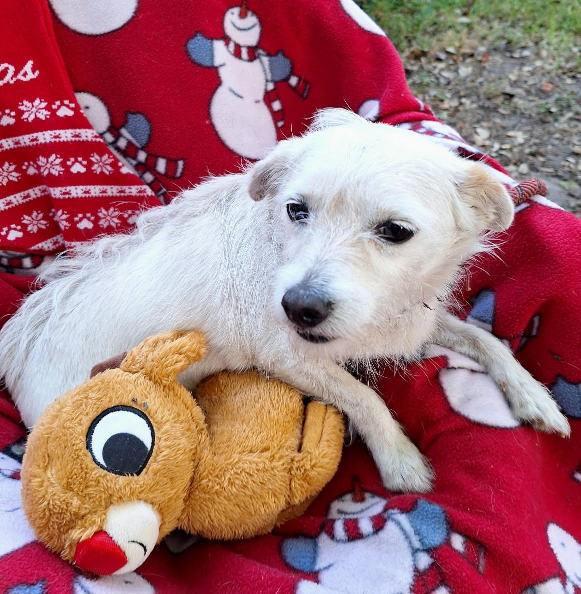 Giordana Wvt thumbnail 4