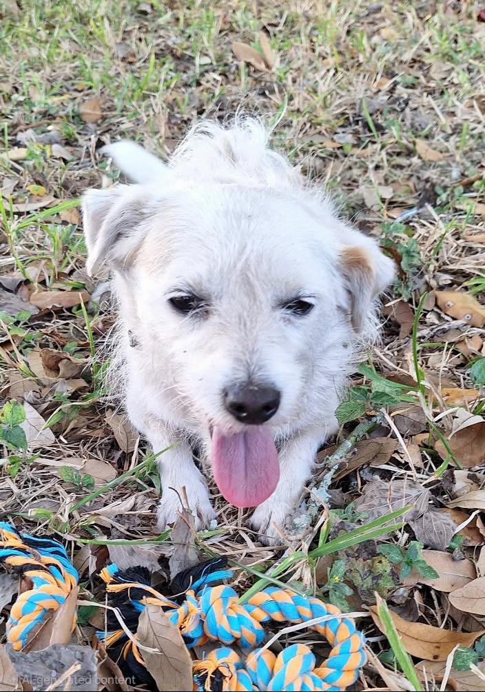 Giordana Wvt thumbnail 6