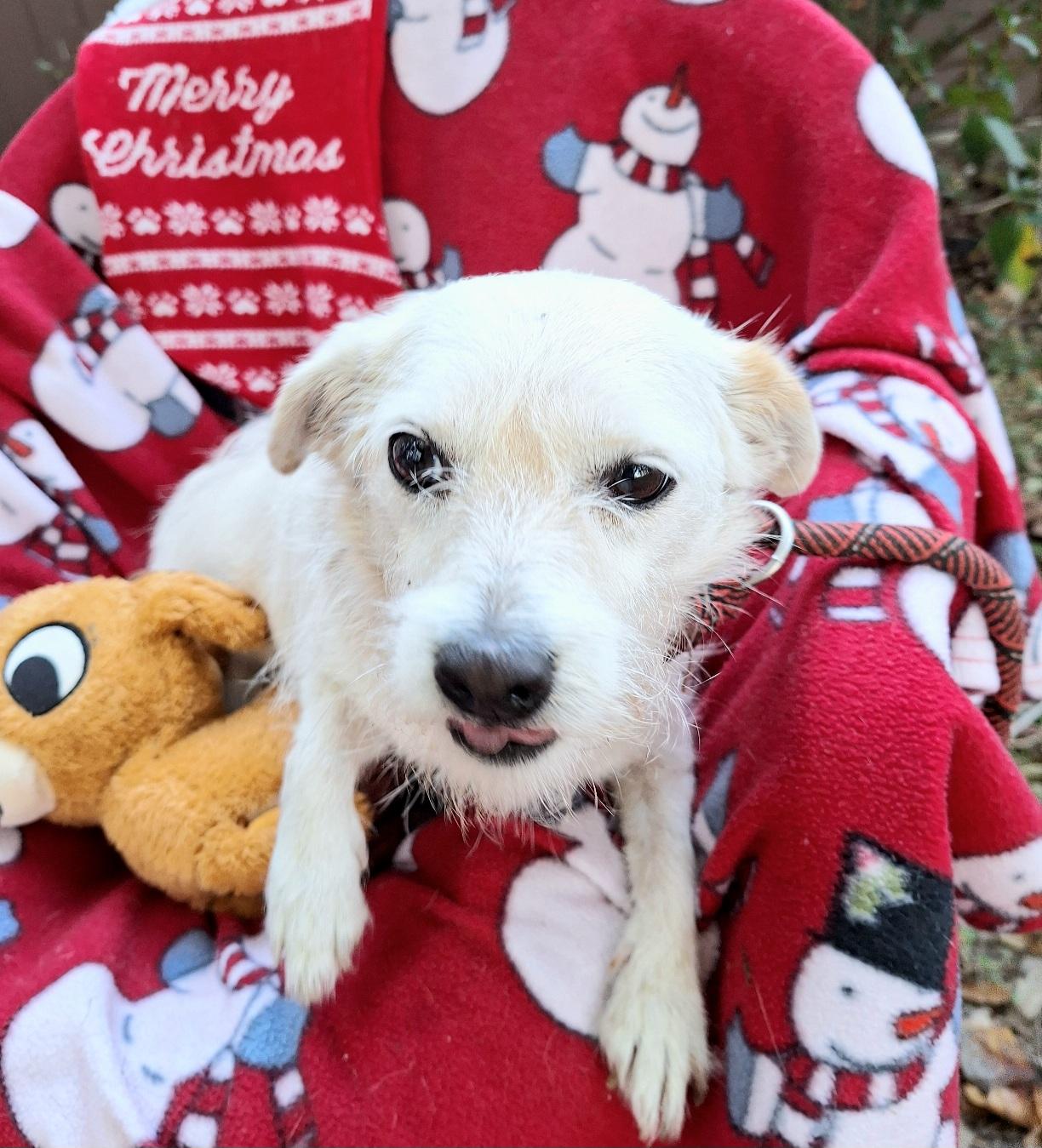 Giordana Wvt thumbnail 7