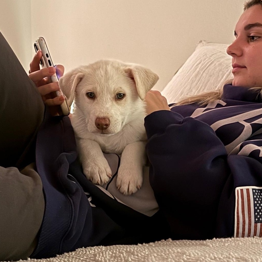 Marshmallow thumbnail 4