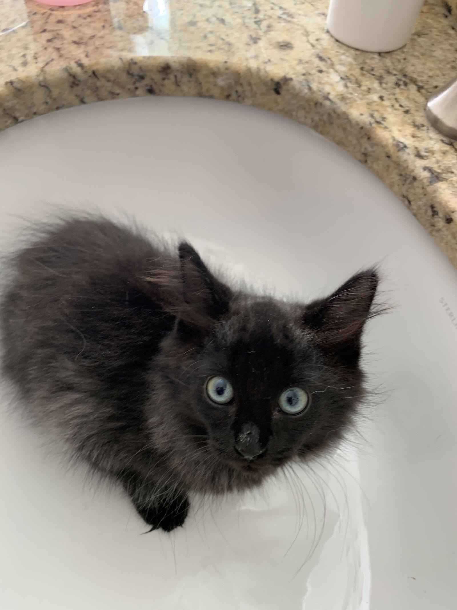 Maja And Tayla thumbnail 2